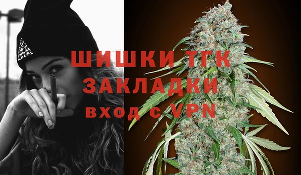Альфа ПВП Аркадак